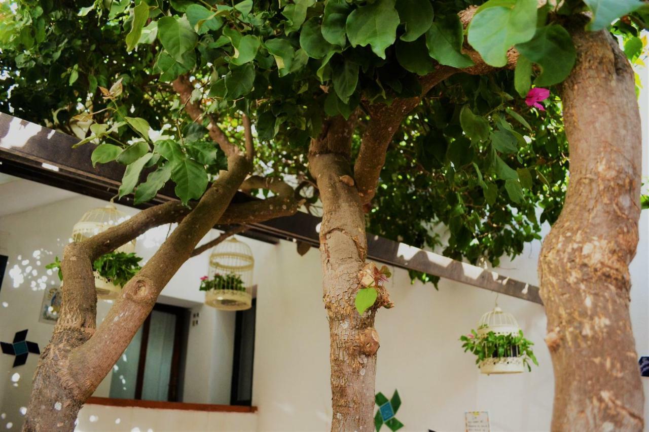Casa Gandamar B&B Санта-Тереза-Галлура Екстер'єр фото