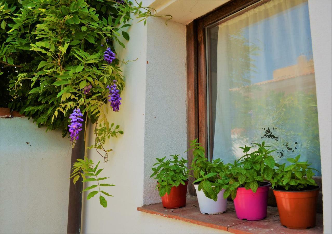 Casa Gandamar B&B Санта-Тереза-Галлура Екстер'єр фото