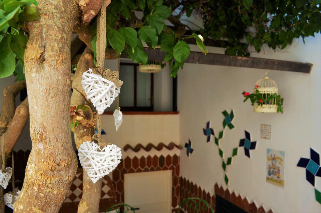 Casa Gandamar B&B Санта-Тереза-Галлура Екстер'єр фото