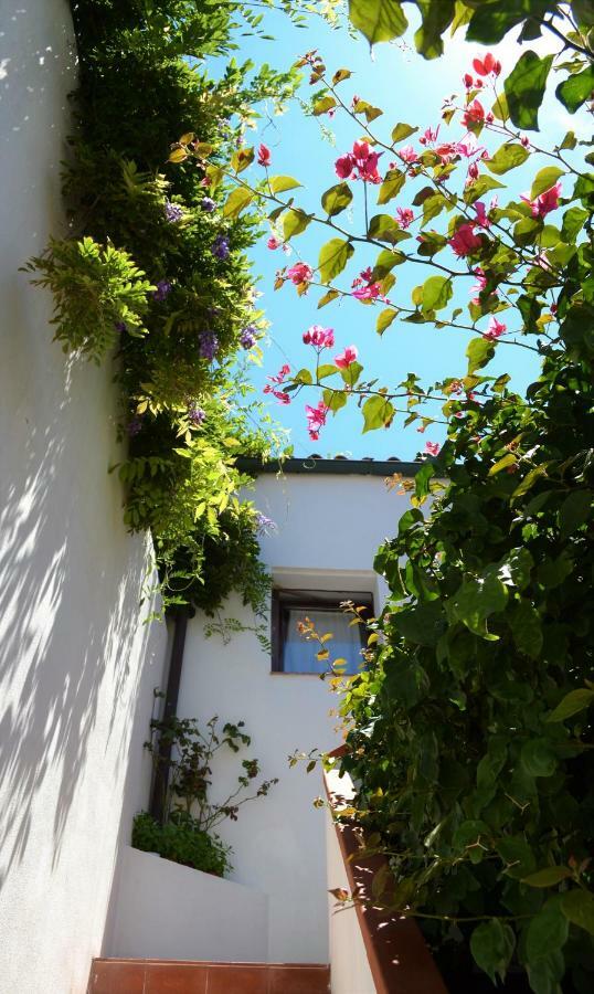 Casa Gandamar B&B Санта-Тереза-Галлура Екстер'єр фото