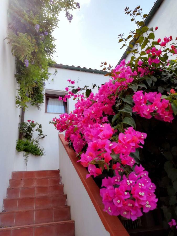 Casa Gandamar B&B Санта-Тереза-Галлура Екстер'єр фото